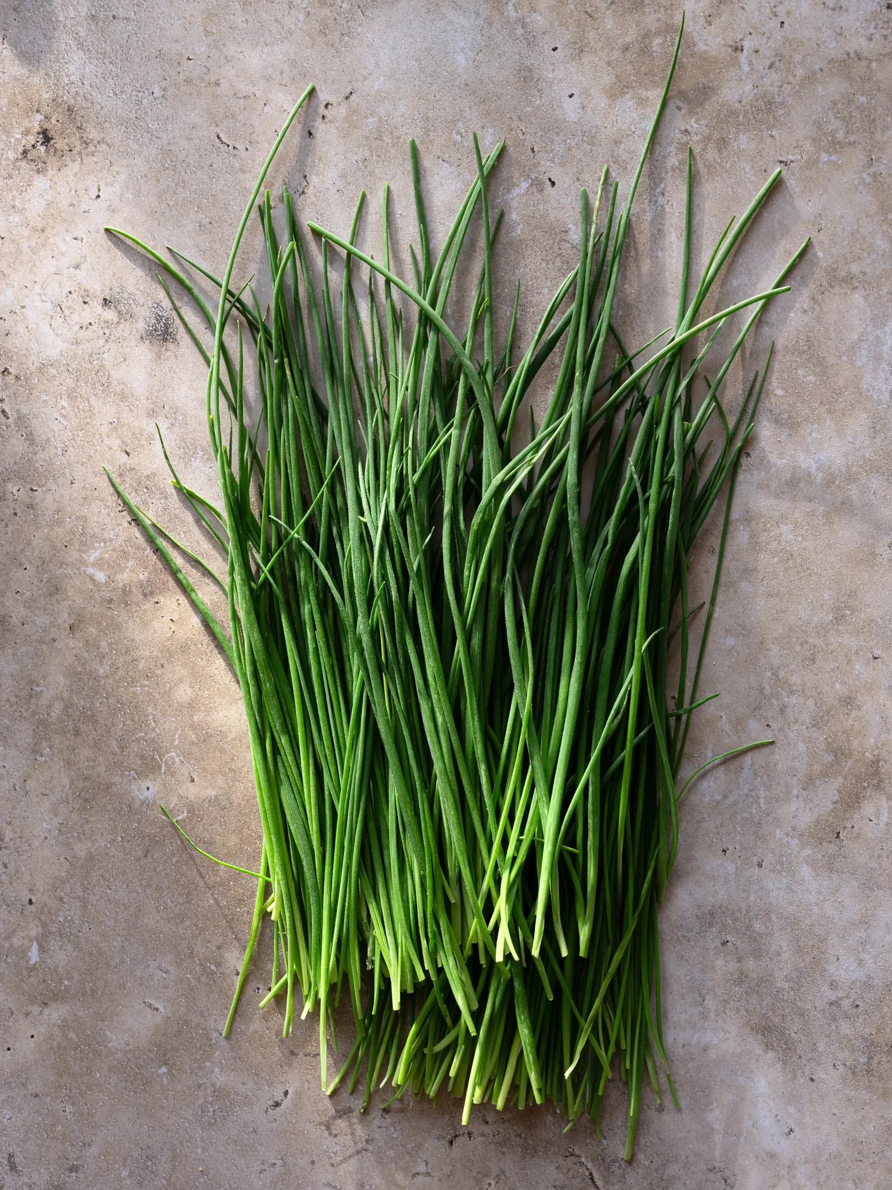 צילום חומר גלם עירית