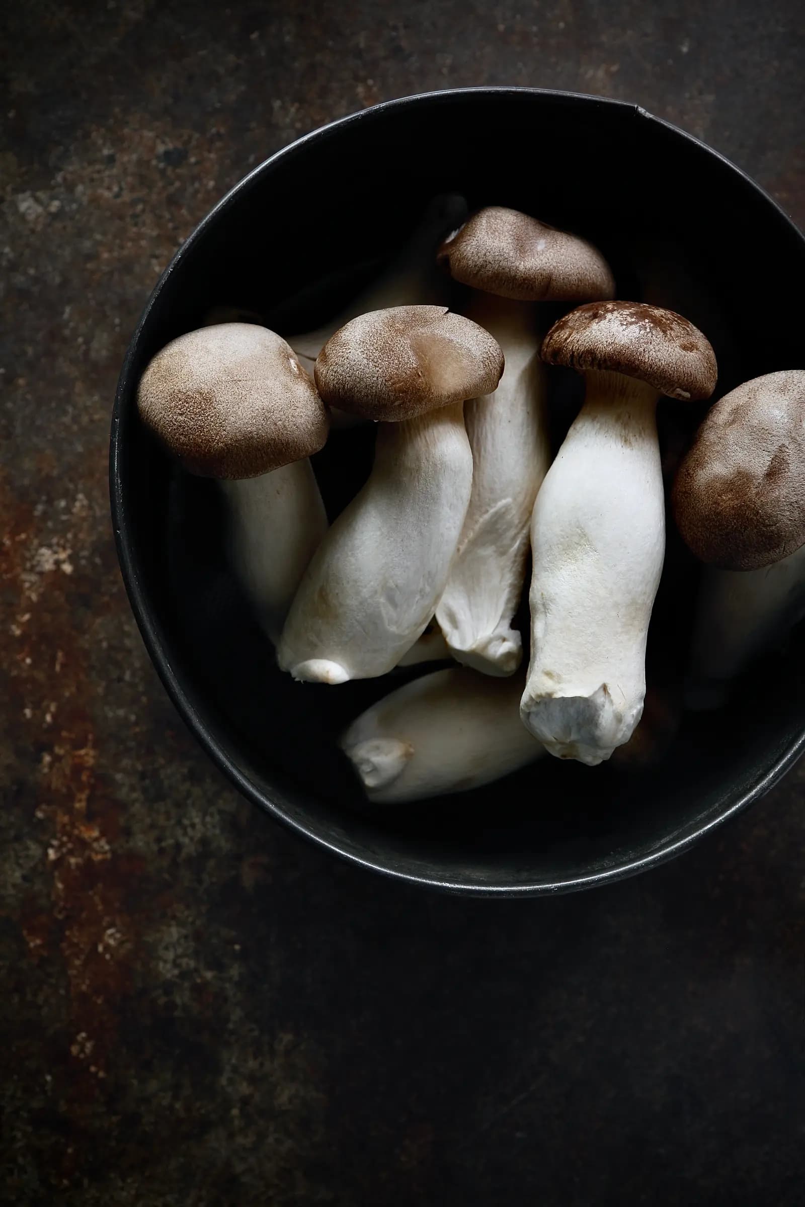 צילום חומר גלם פטריות