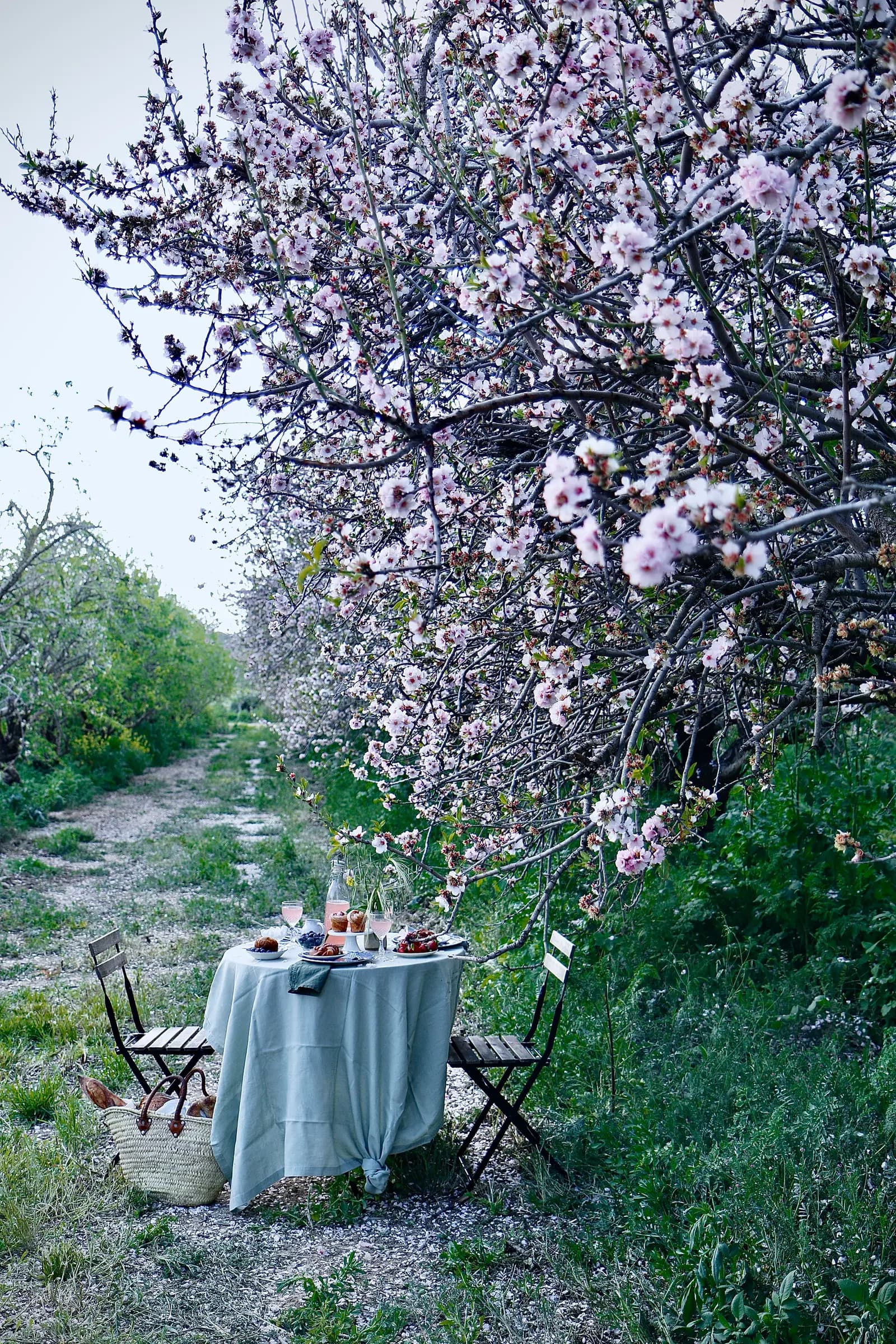 צילום שולחן