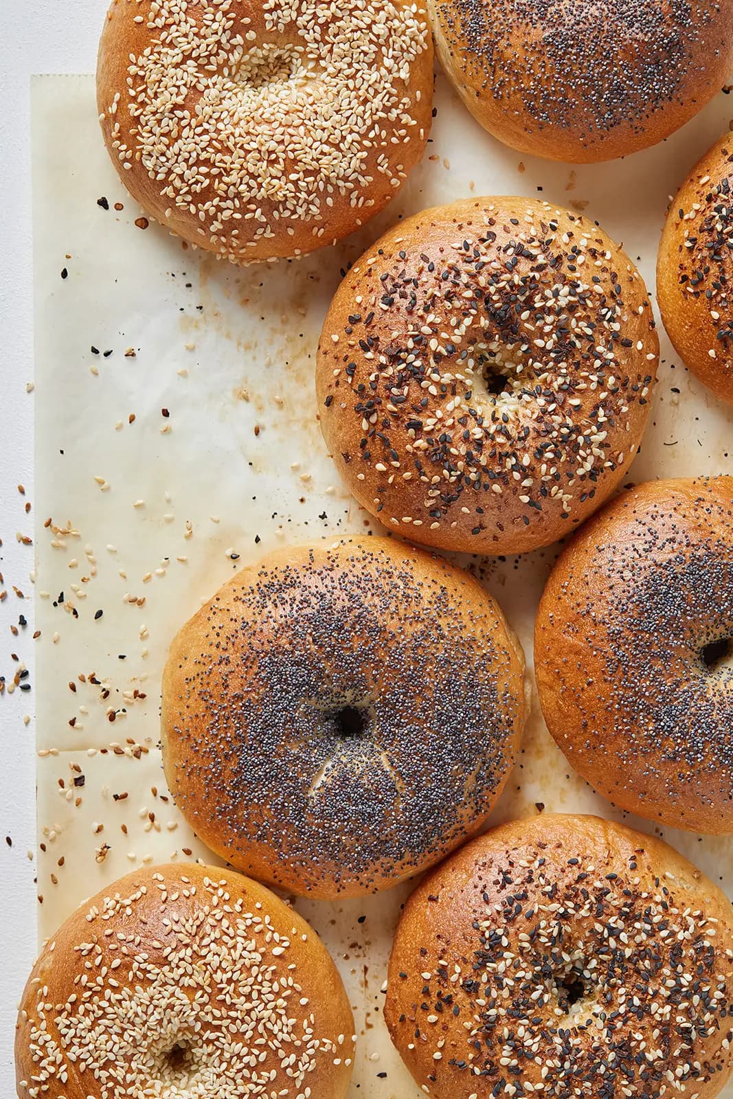 בייגלה - סטיילינג מזון, אינה גוטמן