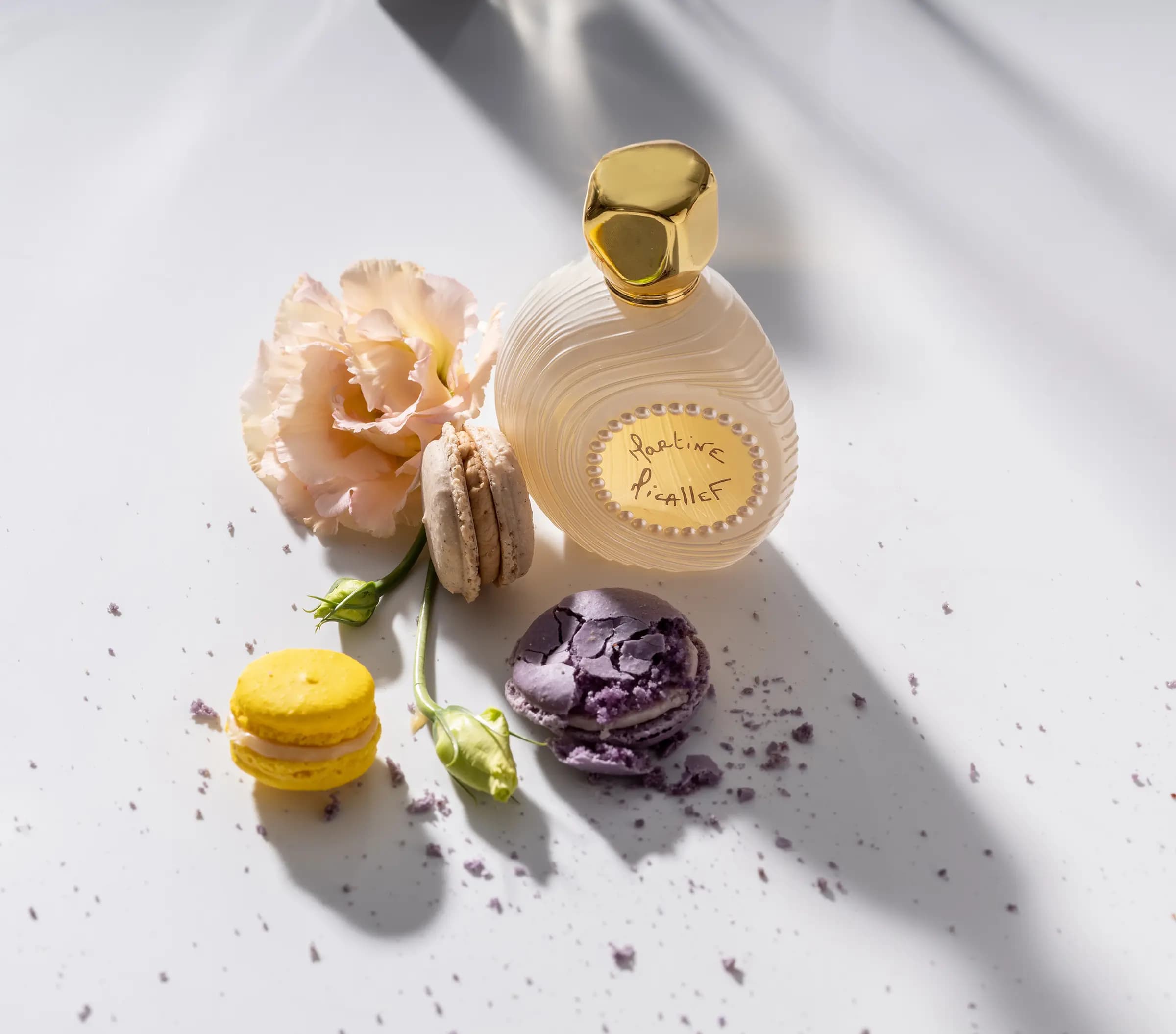 לייף סטייל - סטיילינג מזון, אינה גוטמן