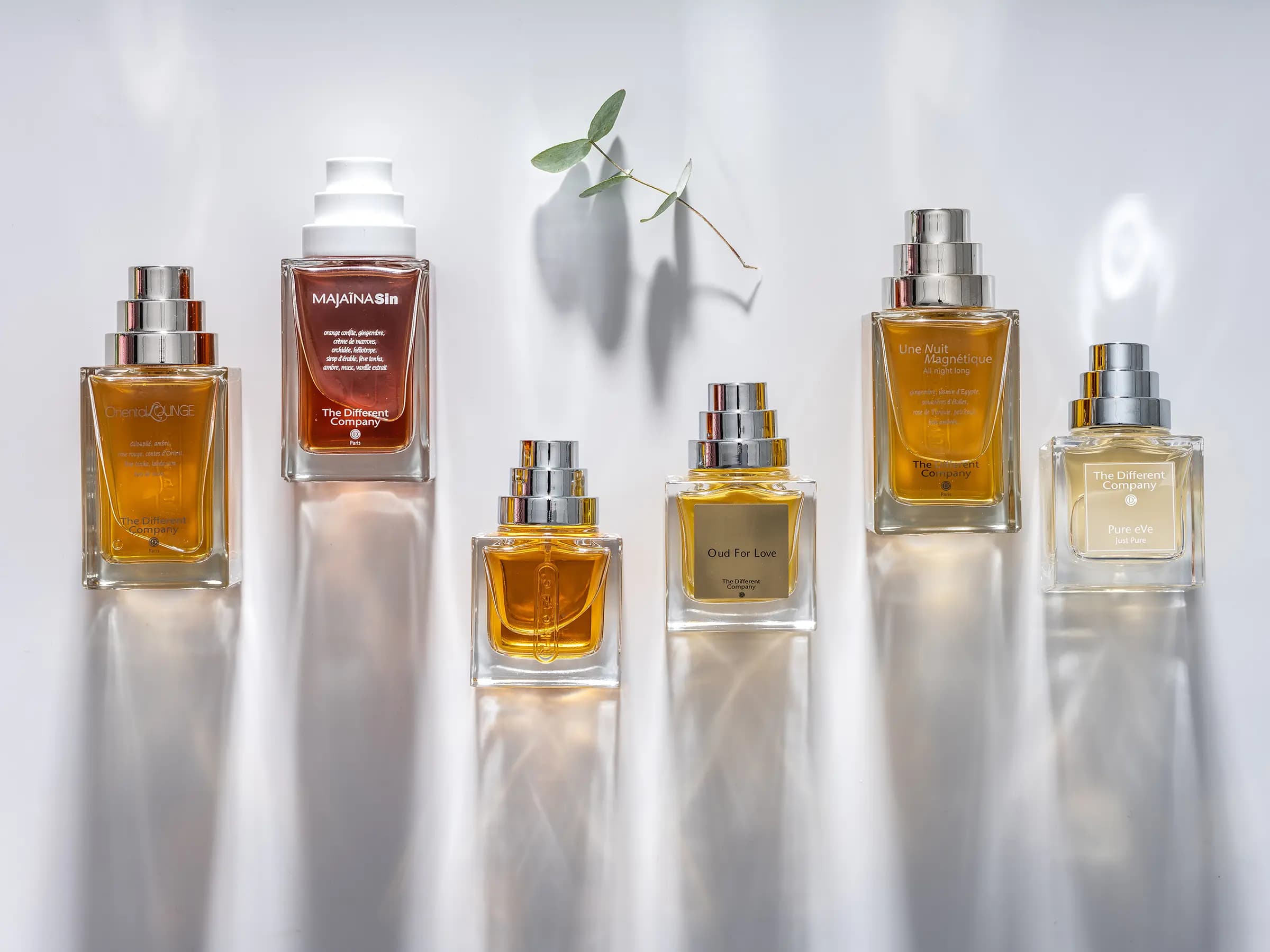 לייף סטייל - סטיילינג מזון, אינה גוטמן