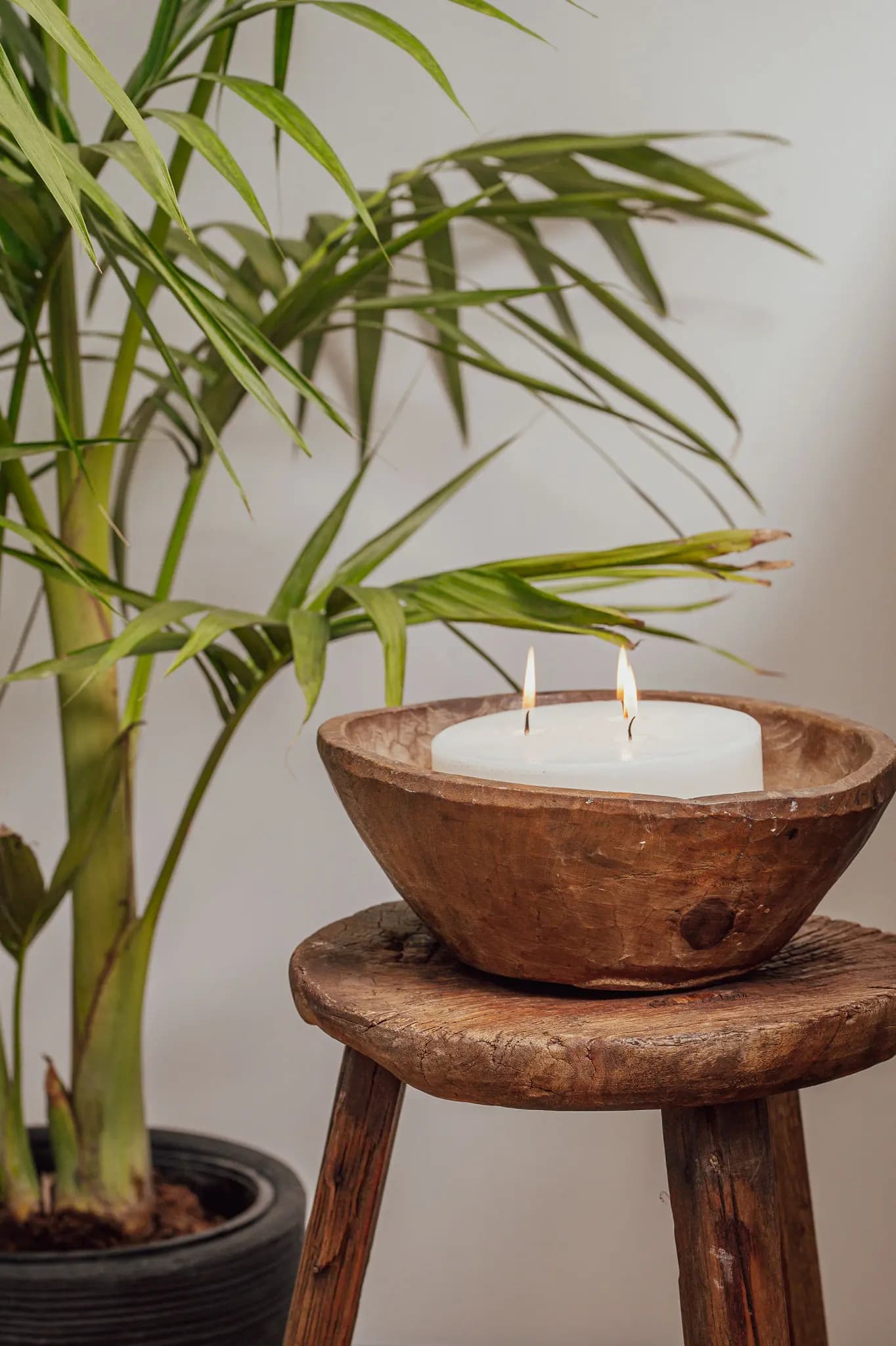 ISI 430 - סטיילינג מזון, אינה גוטמן