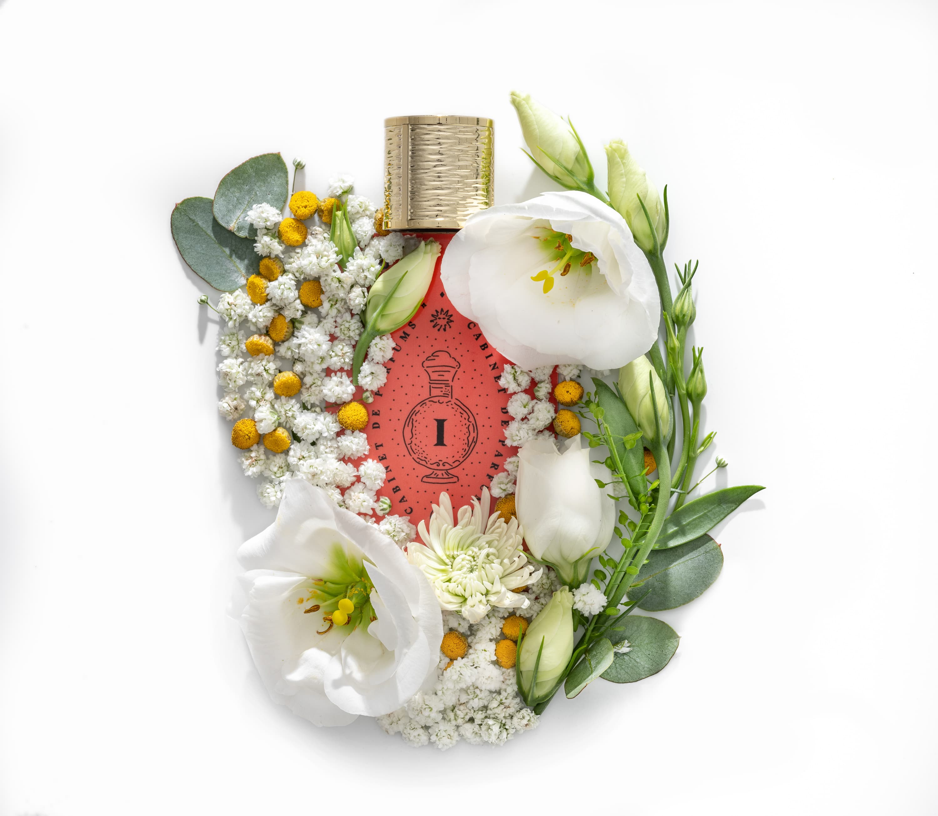 a - סטיילינג מזון, אינה גוטמן